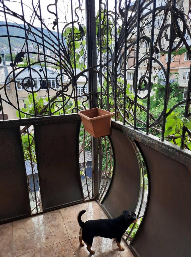 Tbilisi Philharmonia Apartment Exteriér fotografie